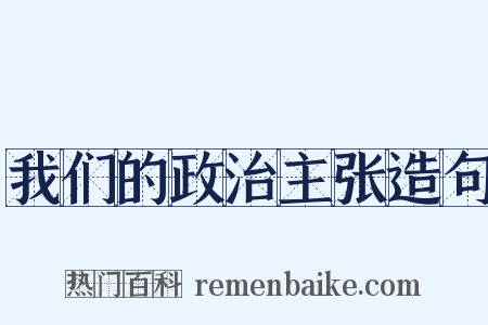 我们的政治主张造句是什么意思的图片